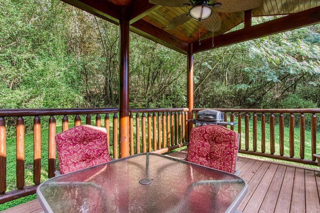 Papa Bear, Hot Tub, Wifi, 1089 Free Tickets Each Paid Day, Dollywood And More Sevierville Kültér fotó