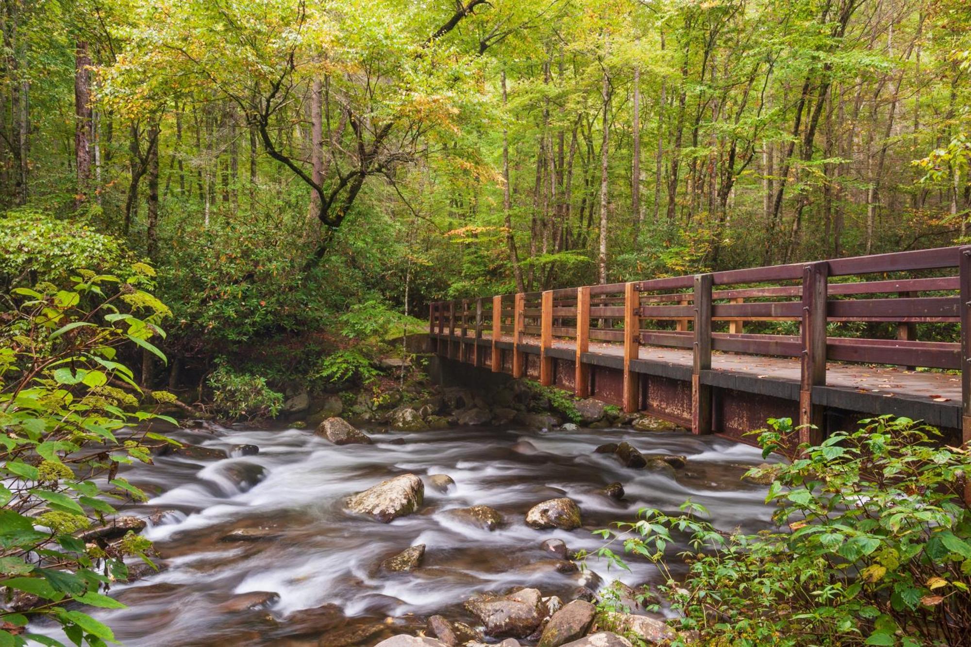 Papa Bear, Hot Tub, Wifi, 1089 Free Tickets Each Paid Day, Dollywood And More Sevierville Kültér fotó